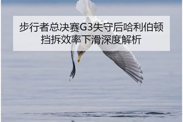 bu-xing-zhe-zong-jue-sai-shi-shou-hou-ha-li-bo-dun-dang-chai-xiao-lv-xia-hua-shen-du-jie-xi-2-676.jpg